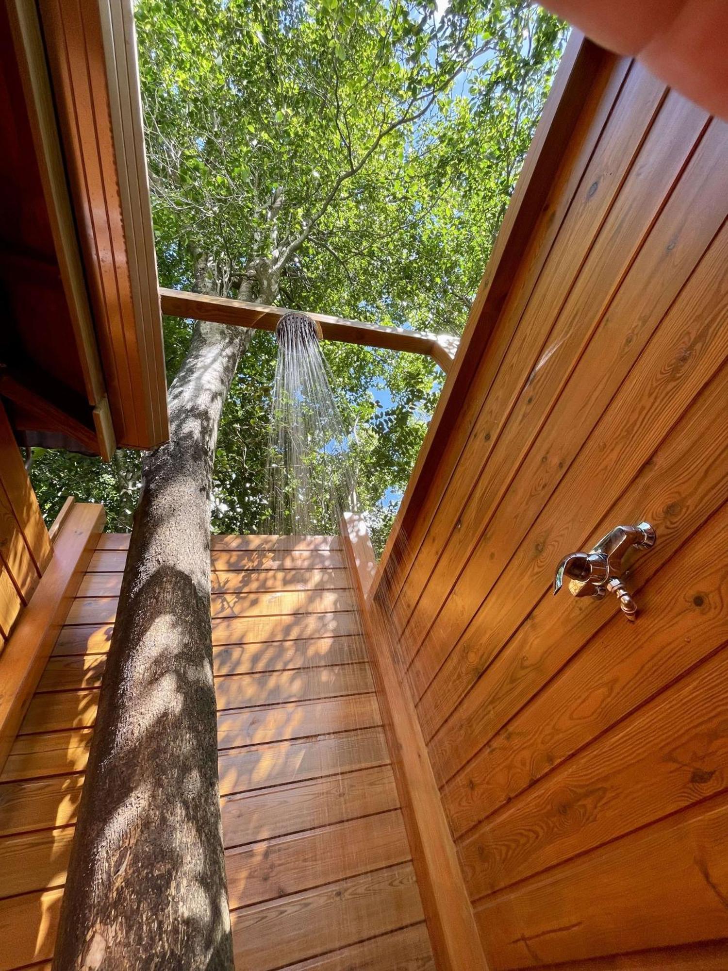 Au Jardin Des Colibris Ecolodge&Spa Deshaies Exterior photo